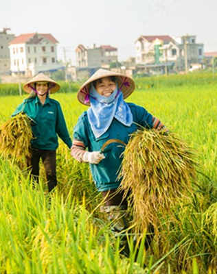 Nguyễn Văn A