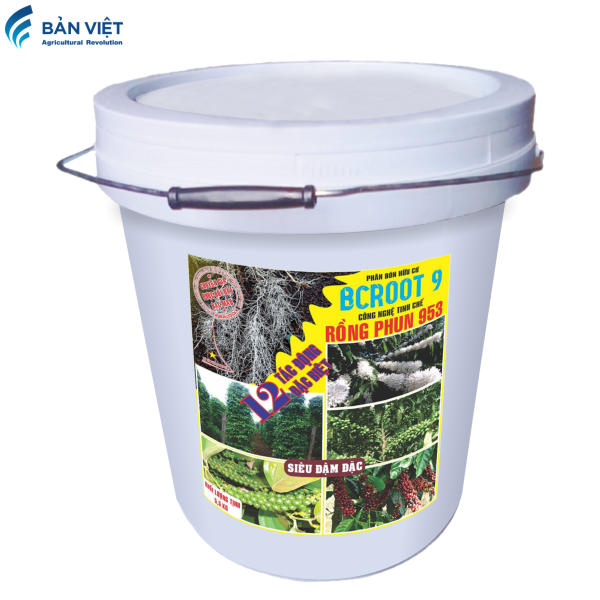 BCROOT 9 - RP953 CÀ PHÊ