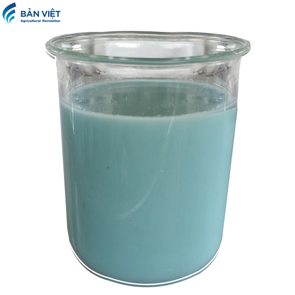 BOTA GOLD 500ML