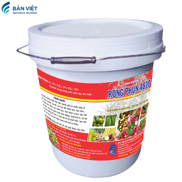 RỒNG PHUN 4810 XÔ