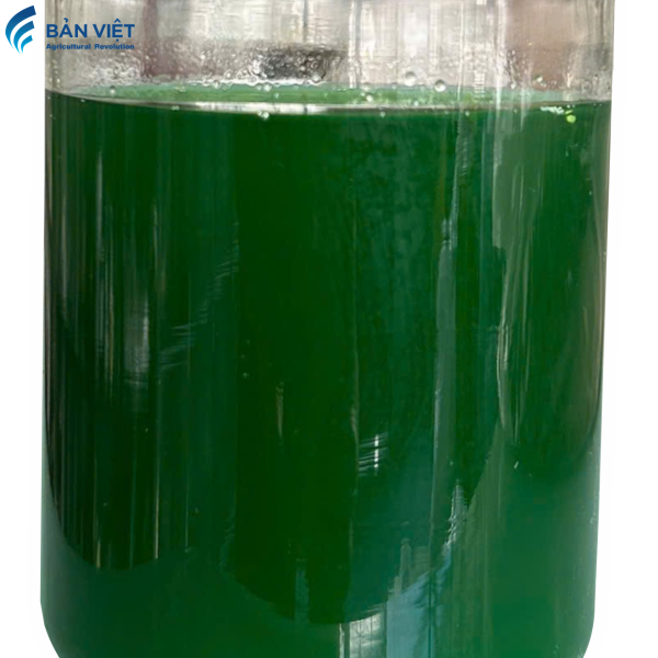 AMINPHOSKA 4.24.17 500ML
