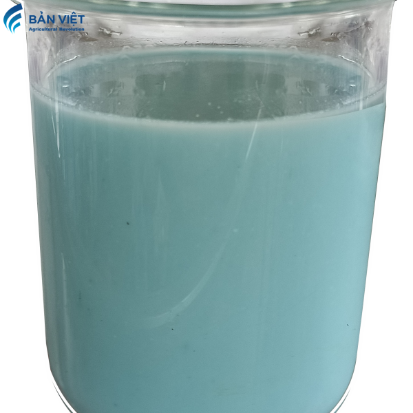 BOTA GOLD 500ML
